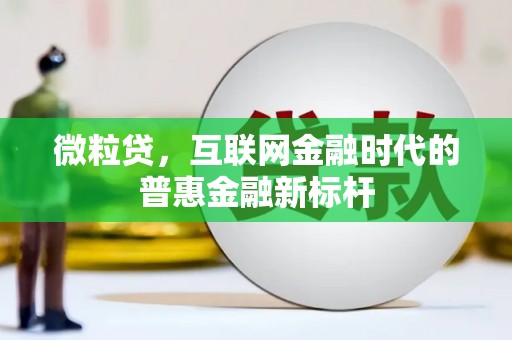 山上微粒贷，互联网金融时代的普惠金融新标杆