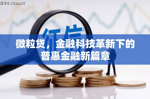 山上微粒贷，金融科技革新下的普惠金融新篇章
