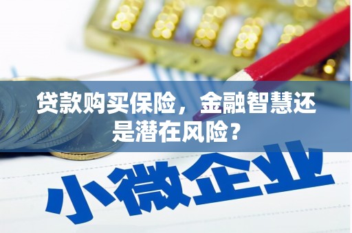 山上贷款购买保险，金融智慧还是潜在风险？