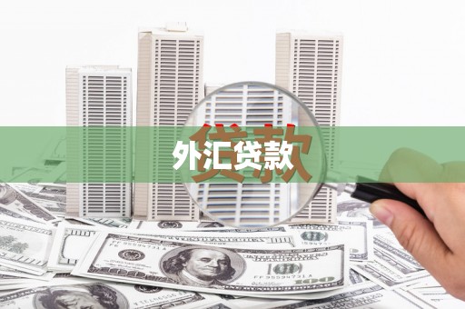 山上外汇贷款