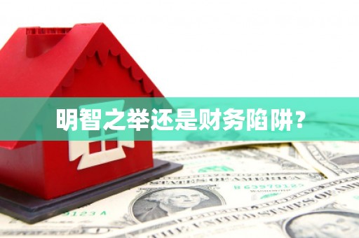 山上明智之举还是财务陷阱？