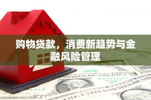 山上购物贷款，消费新趋势与金融风险管理