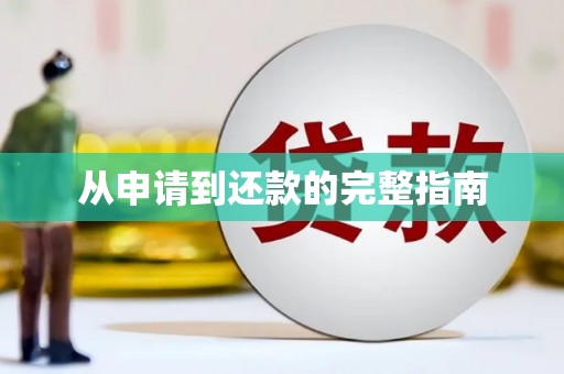 山上从申请到还款的完整指南
