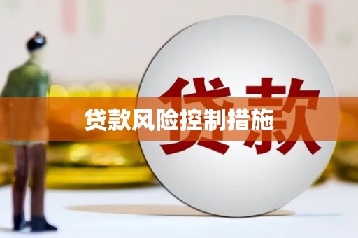 山上贷款风险控制措施