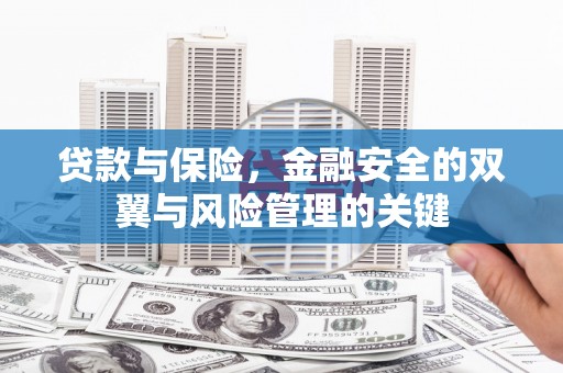 山上贷款与保险，金融安全的双翼与风险管理的关键