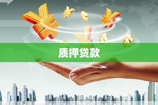 山上质押贷款