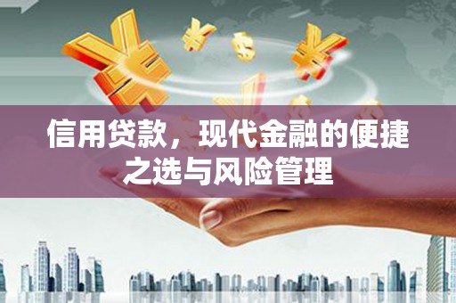 山上信用贷款，现代金融的便捷之选与风险管理