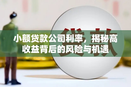 山上小额贷款公司利率，揭秘高收益背后的风险与机遇