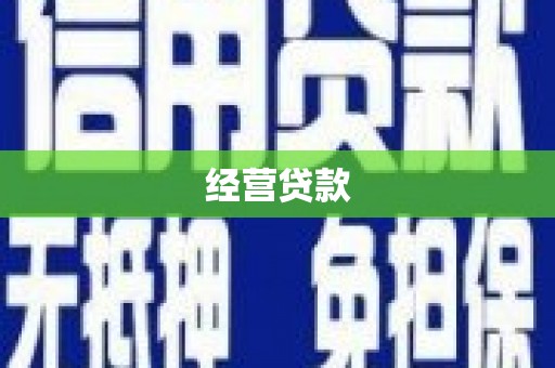 山上经营贷款