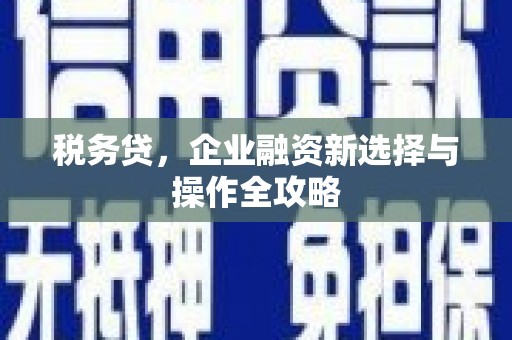 山上税务贷，企业融资新选择与操作全攻略