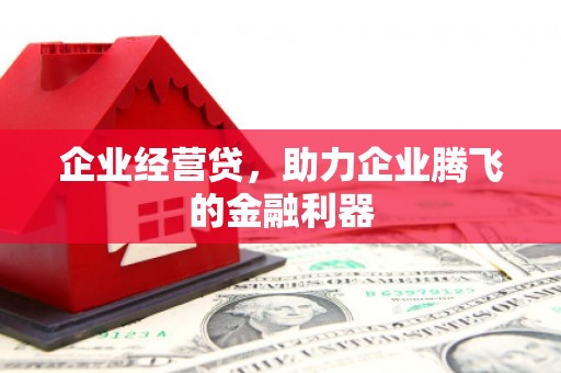 山上企业经营贷，助力企业腾飞的金融利器