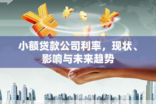 山上小额贷款公司利率，现状、影响与未来趋势