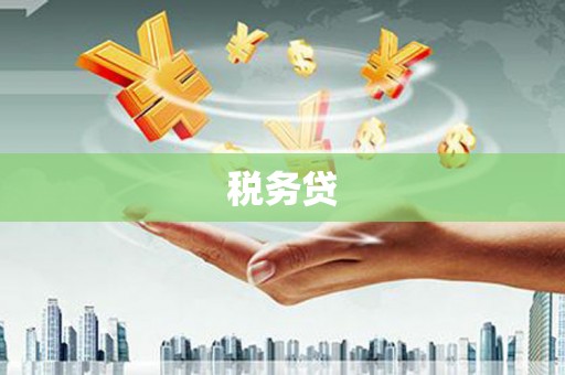 山上税务贷