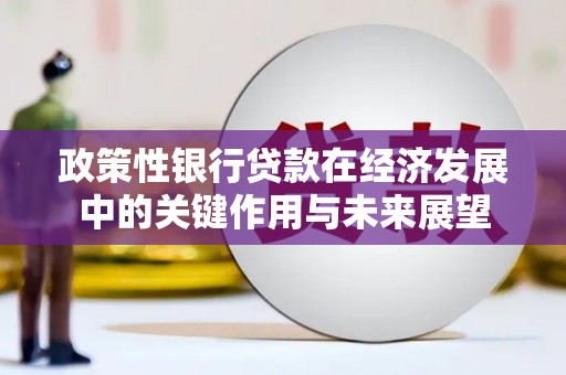 山上政策性银行贷款在经济发展中的关键作用与未来展望