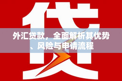 山上外汇贷款，全面解析其优势、风险与申请流程