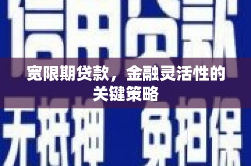 山上宽限期贷款，金融灵活性的关键策略