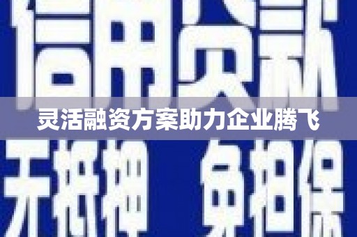 山上灵活融资方案助力企业腾飞