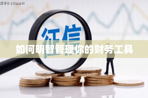 山上如何明智管理你的财务工具