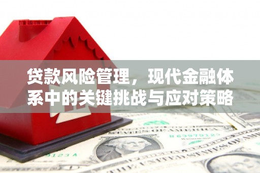 山上贷款风险管理，现代金融体系中的关键挑战与应对策略