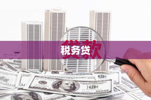 山上税务贷