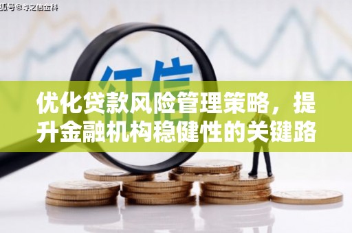 山上优化贷款风险管理策略，提升金融机构稳健性的关键路径