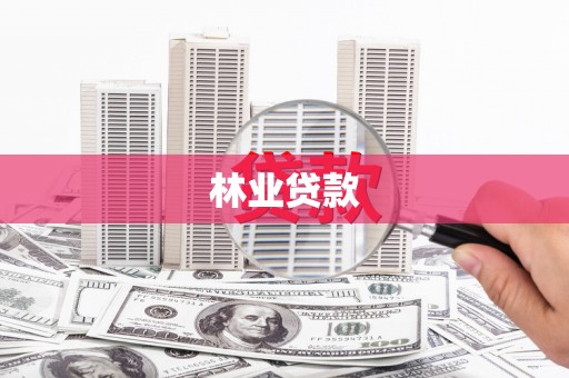 山上林业贷款