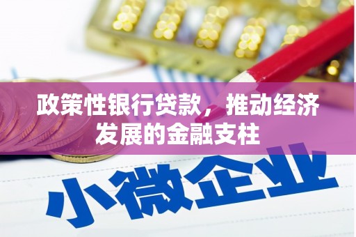 山上政策性银行贷款，推动经济发展的金融支柱