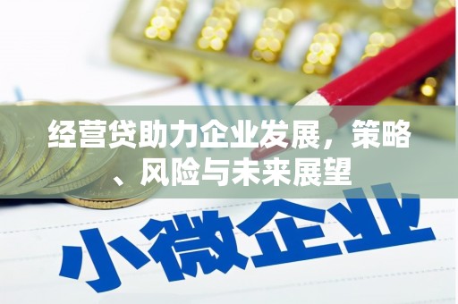 山上经营贷助力企业发展，策略、风险与未来展望