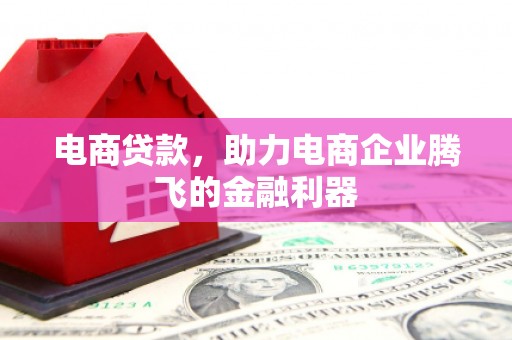 山上电商贷款，助力电商企业腾飞的金融利器