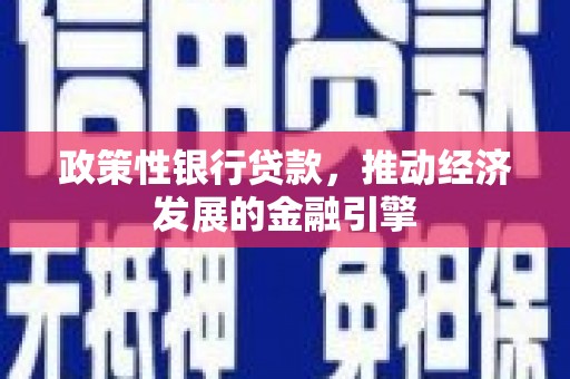 山上政策性银行贷款，推动经济发展的金融引擎