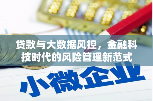 山上贷款与大数据风控，金融科技时代的风险管理新范式