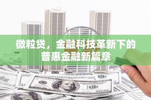 山上微粒贷，金融科技革新下的普惠金融新篇章