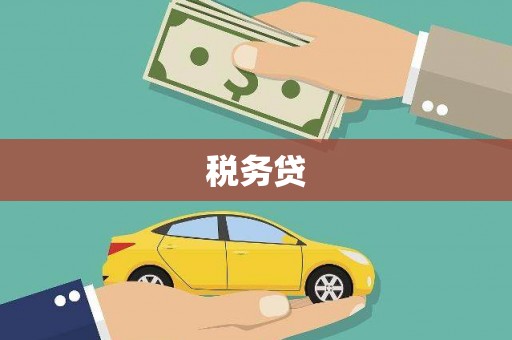 山上税务贷