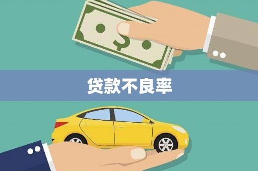 山上贷款不良率
