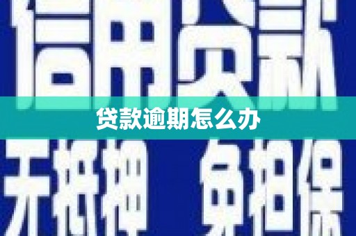山上贷款逾期怎么办