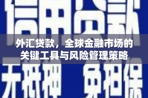 山上外汇贷款，全球金融市场的关键工具与风险管理策略