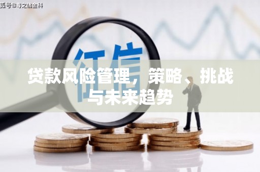 山上贷款风险管理，策略、挑战与未来趋势