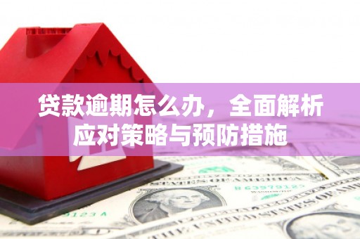 山上贷款逾期怎么办，全面解析应对策略与预防措施