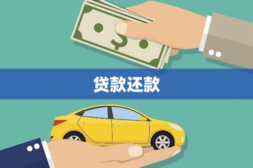 山上贷款还款