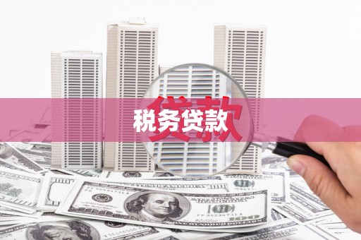 山上税务贷款