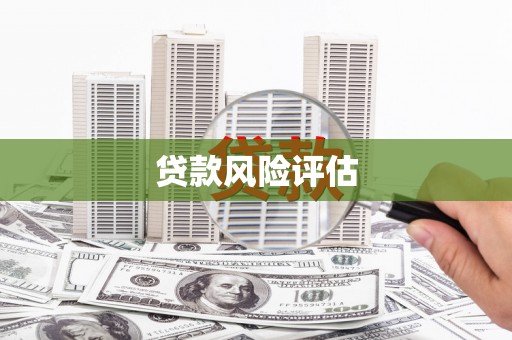 山上贷款风险评估