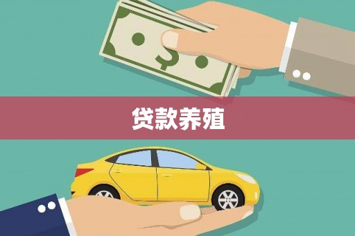山上贷款养殖