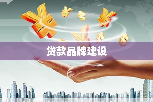 山上贷款品牌建设