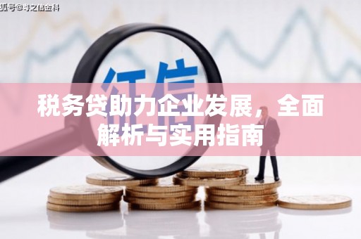 山上税务贷助力企业发展，全面解析与实用指南