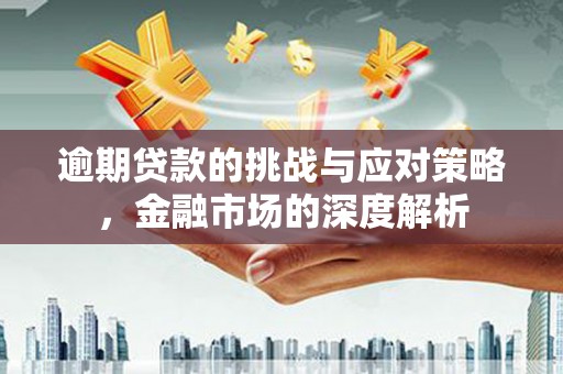 山上逾期贷款的挑战与应对策略，金融市场的深度解析