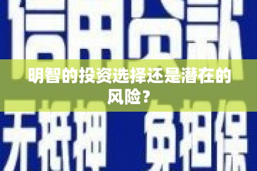 山上明智的投资选择还是潜在的风险？