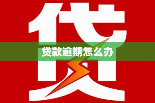 山上贷款逾期怎么办