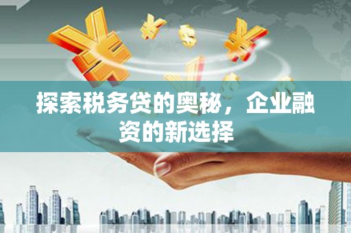 山上探索税务贷的奥秘，企业融资的新选择