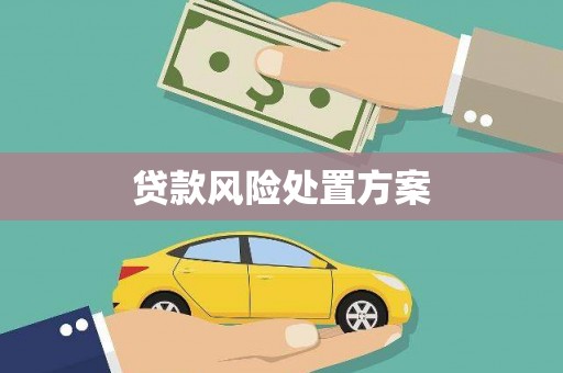 山上贷款风险处置方案