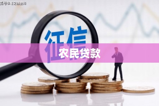 山上农民贷款